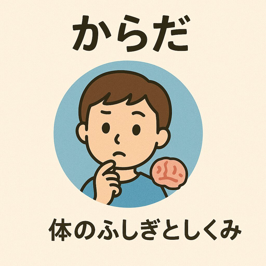 からだ｜体のふしぎとしくみ
